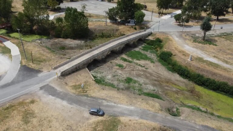 edirnede aycicegi uretimi krizde jWC9XKZf