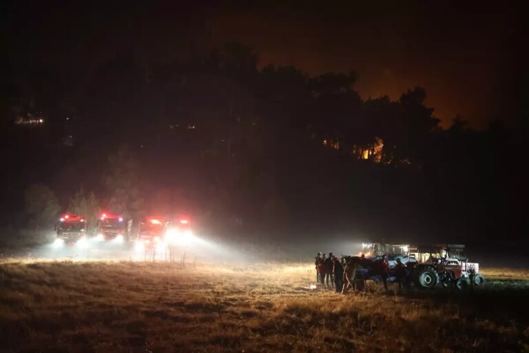 koycegizde orman yanginina mudahale 5wLOu98T