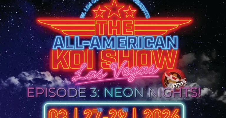 all american koi show 2026 koi dunyasinin en prestijli yarismasi las vegasa donuyor yRxA6sYZ.webp