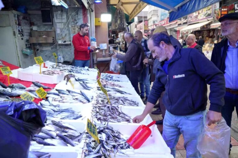 samsunda hamsi fiyatlari duserken balikcilarin ilgisi azaliyor DEkFt2uG.jpg