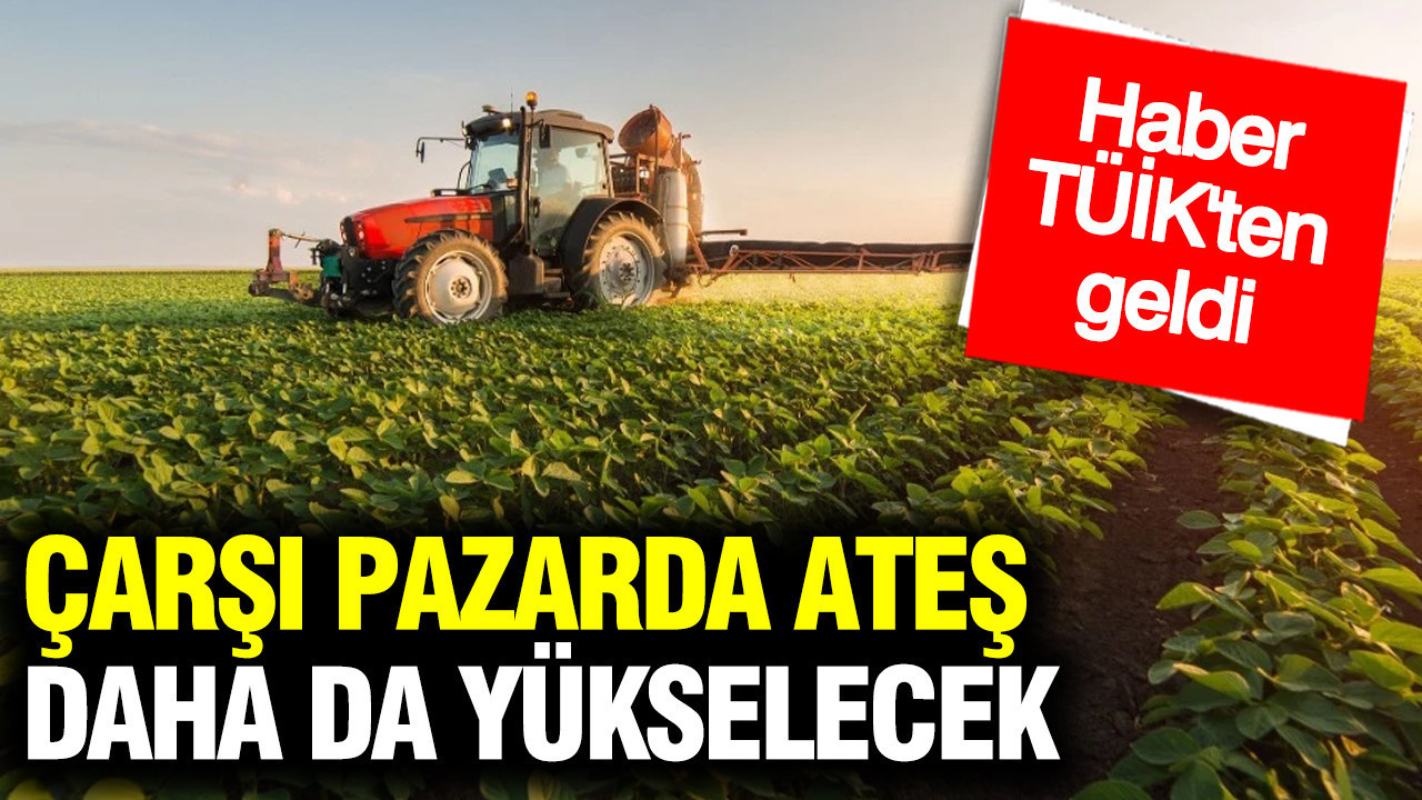Tarım Üretici Fiyatlarında Rekor Artış
